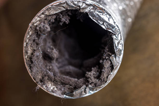 Best HVAC Duct Inspection Services  in Bergenfield, NJ