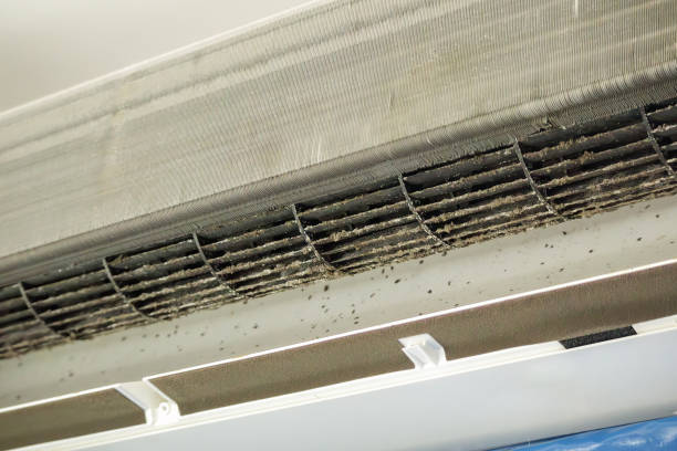 Best HVAC Duct Inspection Services  in Bergenfield, NJ